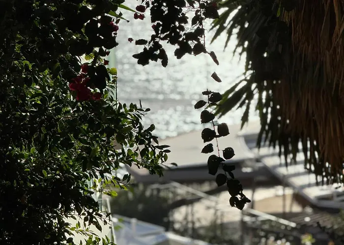 Kleo Seaside Apartment